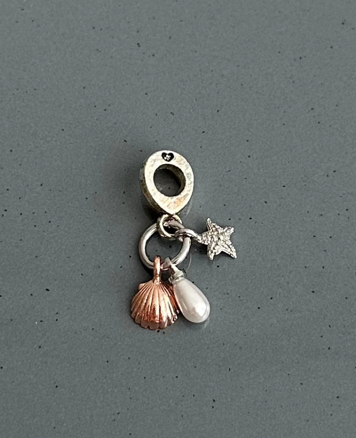 pirinç silver deniz kabuğu pndr charm