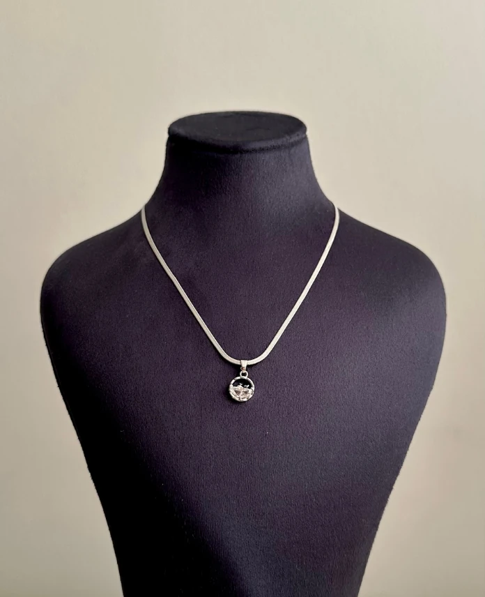 çelik silver italyan yunus yuvarlak 45cm kolye