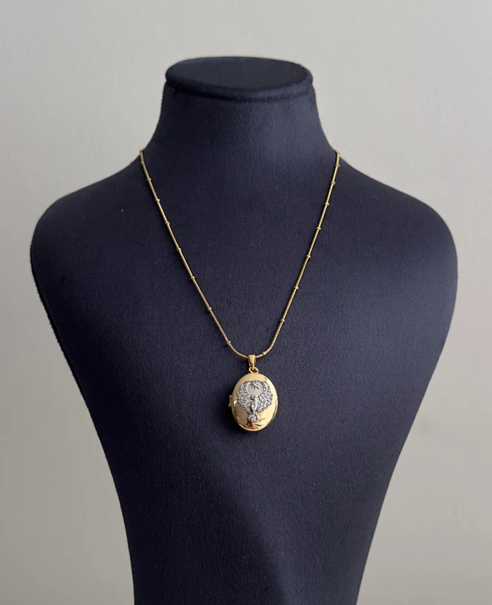 çelik gold alya 45cm kolye