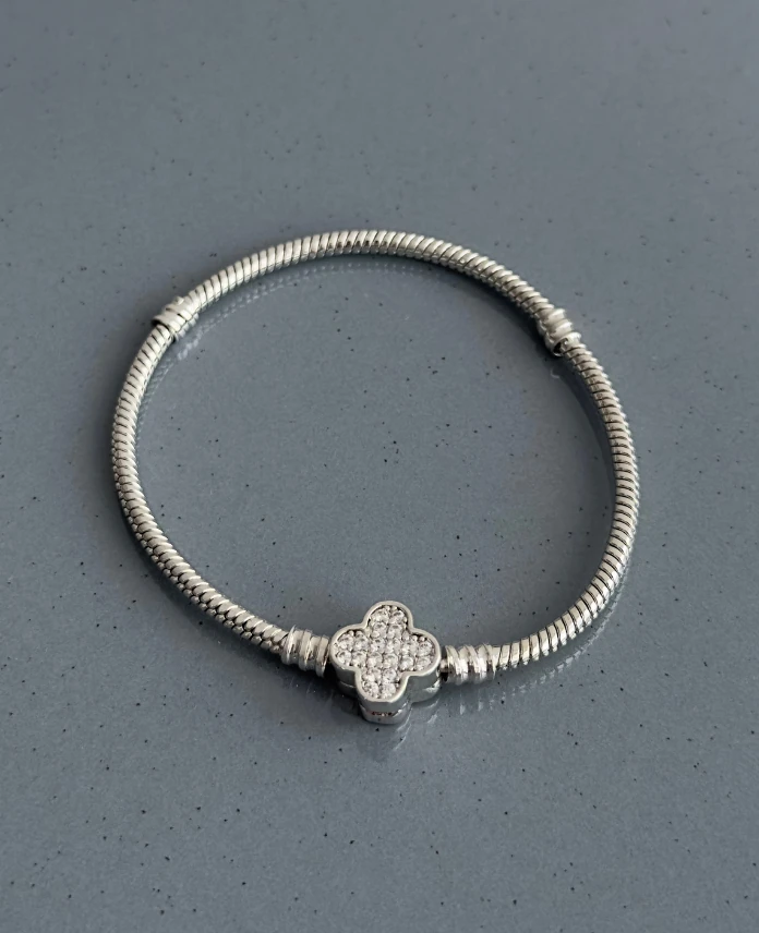 pirinç silver yonca taş pndr